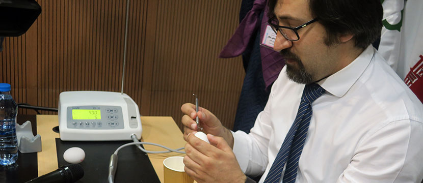 handson بر روی تخم مرغ